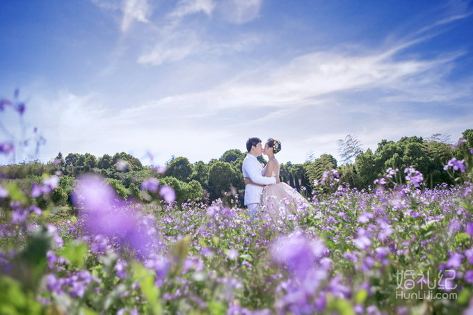 （客片）花海中，爱的语言