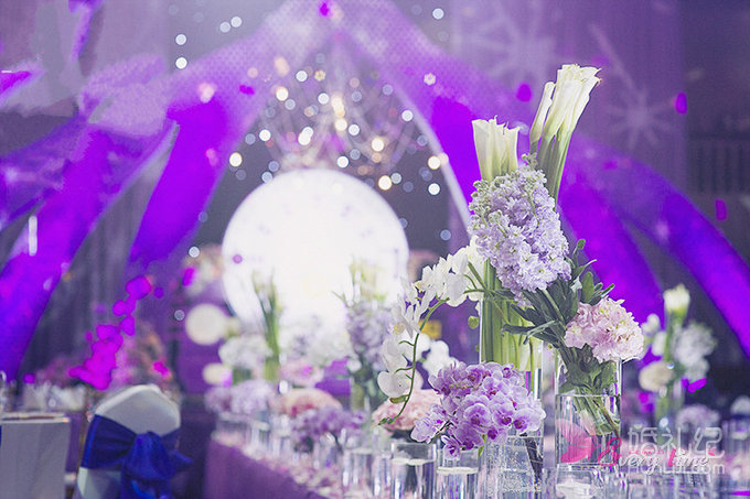 【爱薇塔】紫精灵之夜