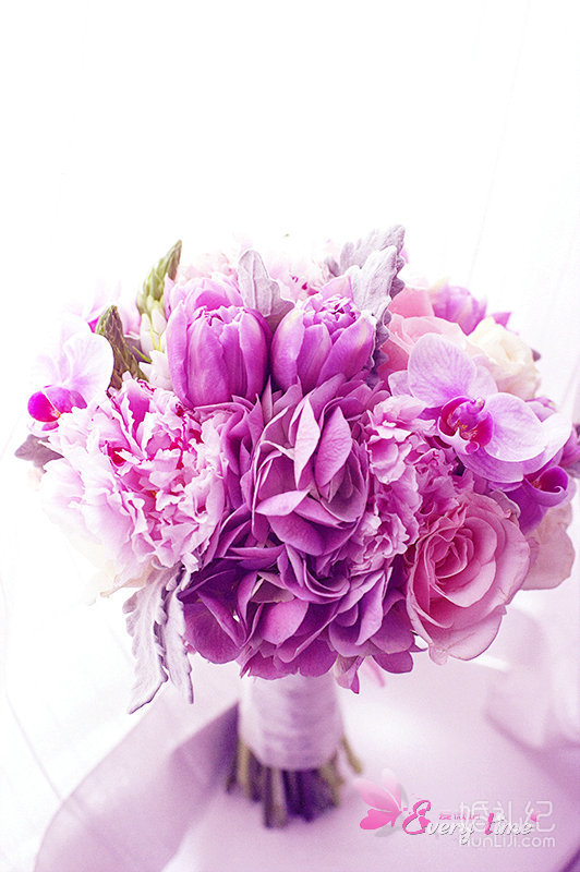 【爱薇塔】紫精灵之夜