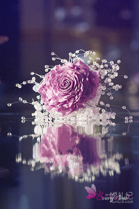 【爱薇塔】紫精灵之夜