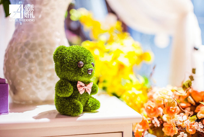 爱丽丝森系主题婚礼（组工大厦）