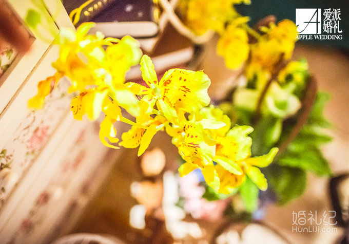 爱丽丝森系主题婚礼（组工大厦）