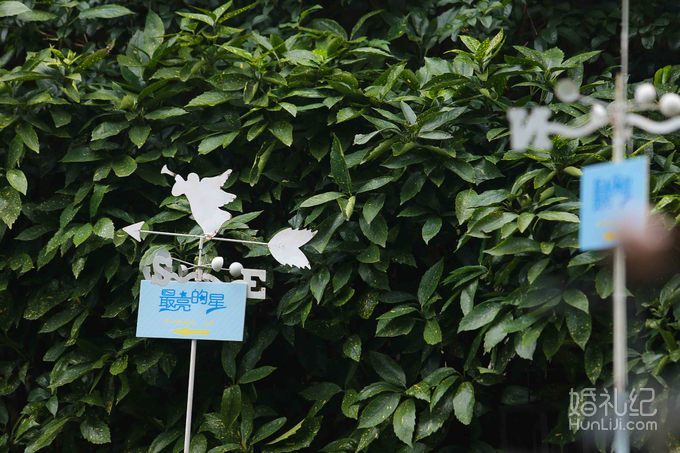 主题婚礼--最亮的星