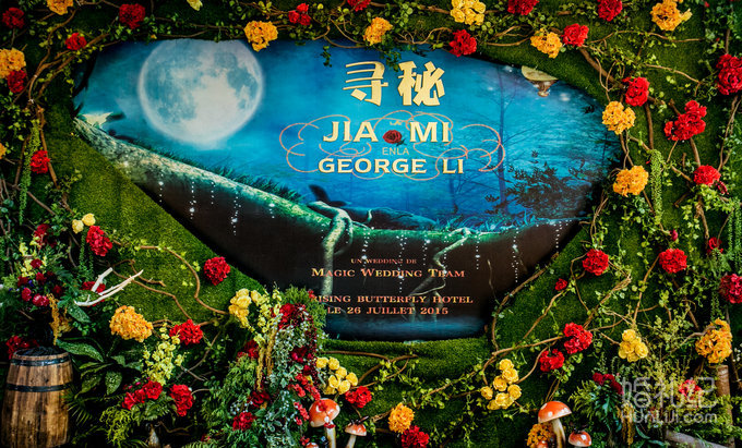 【双城记】“寻秘”别样的森林系绿野仙踪