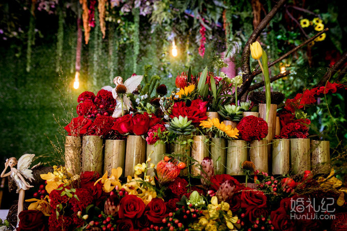 【双城记】“寻秘”别样的森林系绿野仙踪