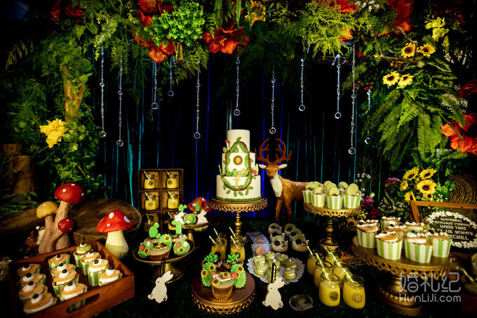 【双城记】“寻秘”别样的森林系绿野仙踪