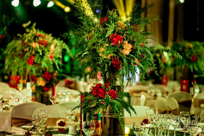 【双城记】“寻秘”别样的森林系绿野仙踪