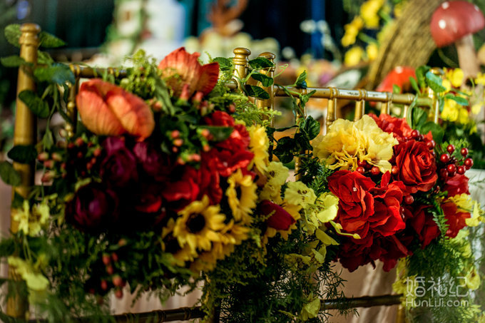 【双城记】“寻秘”别样的森林系绿野仙踪