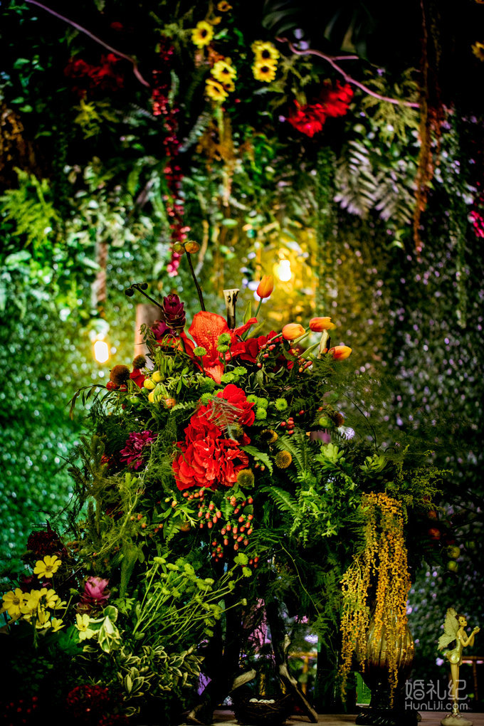 【双城记】“寻秘”别样的森林系绿野仙踪