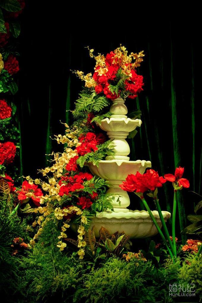 【双城记】“寻秘”别样的森林系绿野仙踪