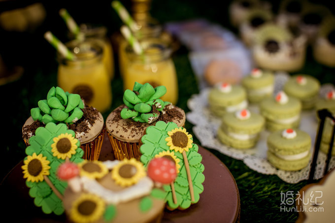 【双城记】“寻秘”别样的森林系绿野仙踪