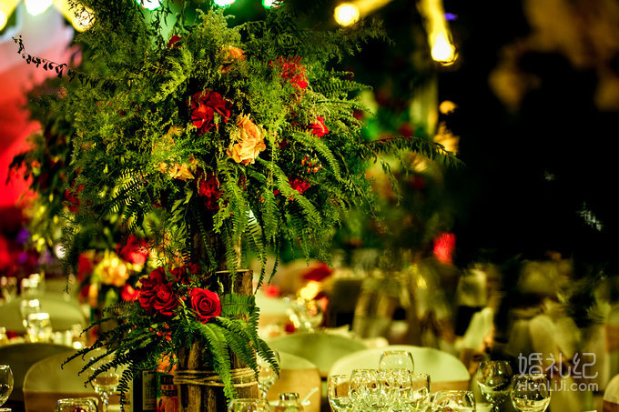 【双城记】“寻秘”别样的森林系绿野仙踪