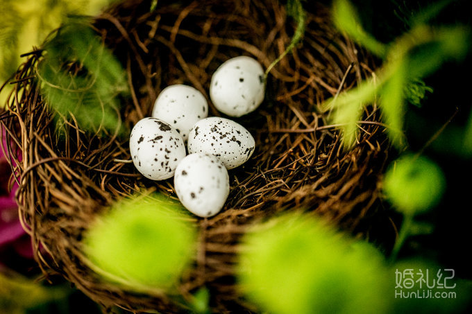 【双城记】“寻秘”别样的森林系绿野仙踪