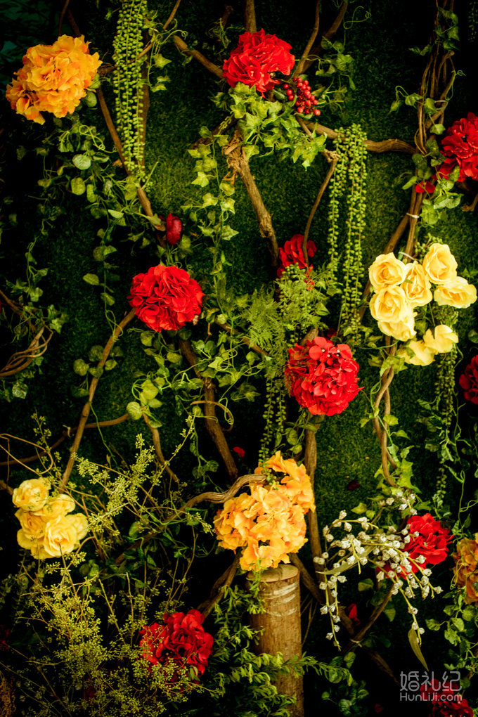 【双城记】“寻秘”别样的森林系绿野仙踪