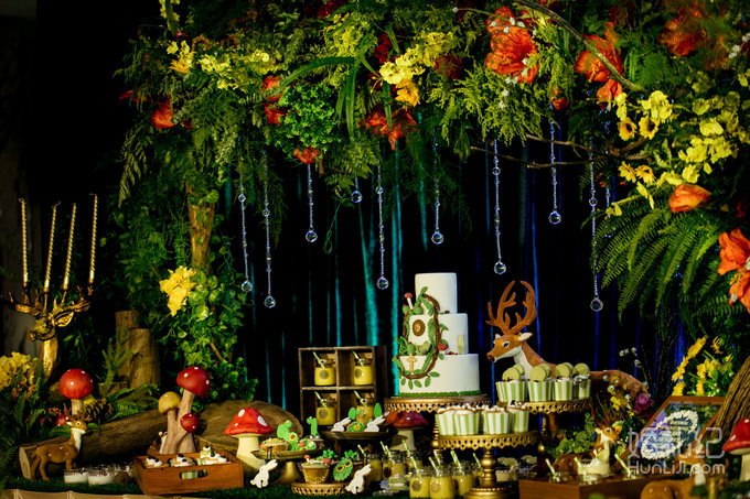 【双城记】“寻秘”别样的森林系绿野仙踪