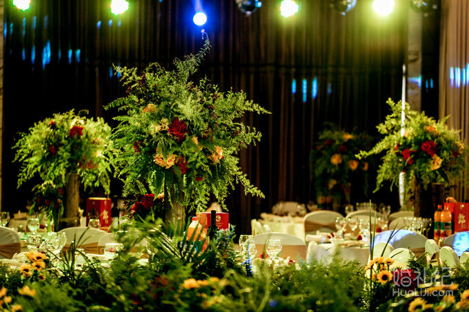 【双城记】“寻秘”别样的森林系绿野仙踪