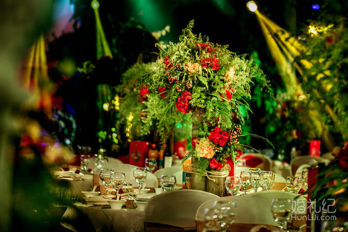 【双城记】“寻秘”别样的森林系绿野仙踪