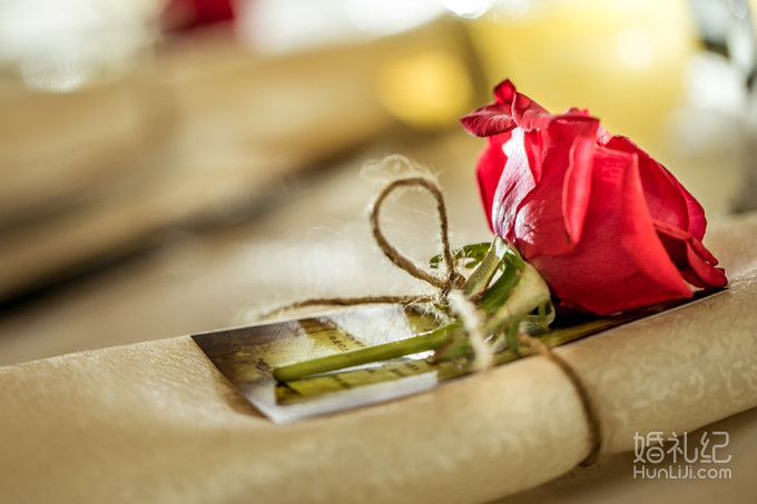 【双城记】“寻秘”别样的森林系绿野仙踪