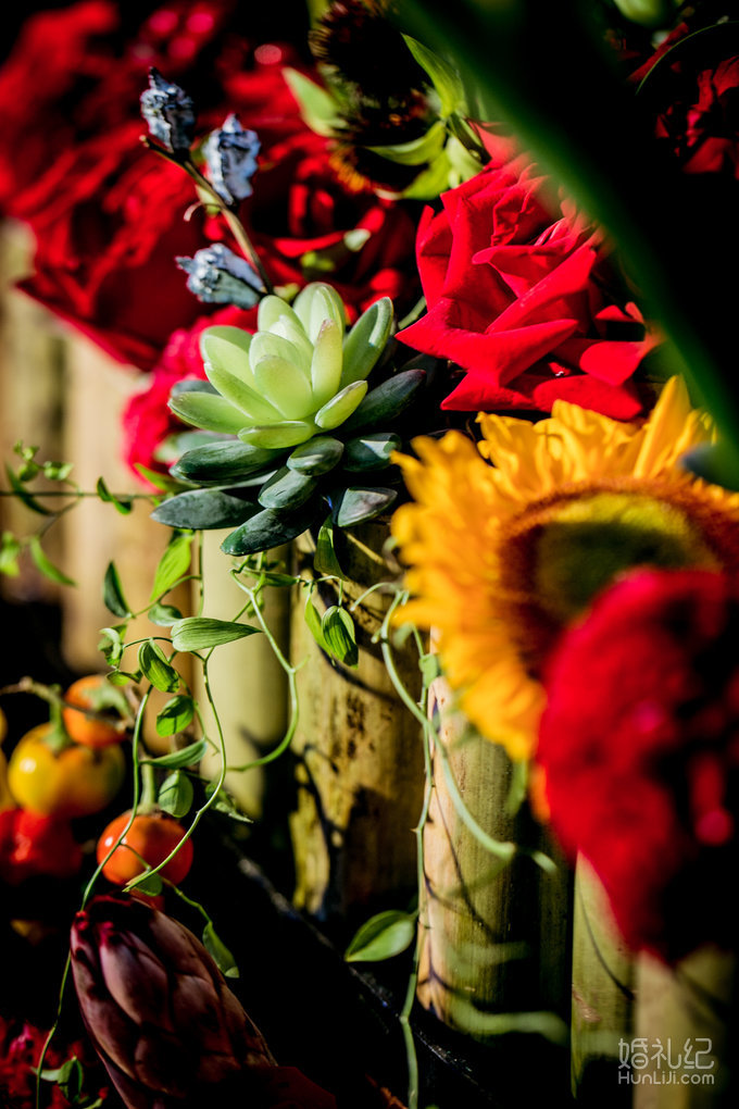 【双城记】“寻秘”别样的森林系绿野仙踪