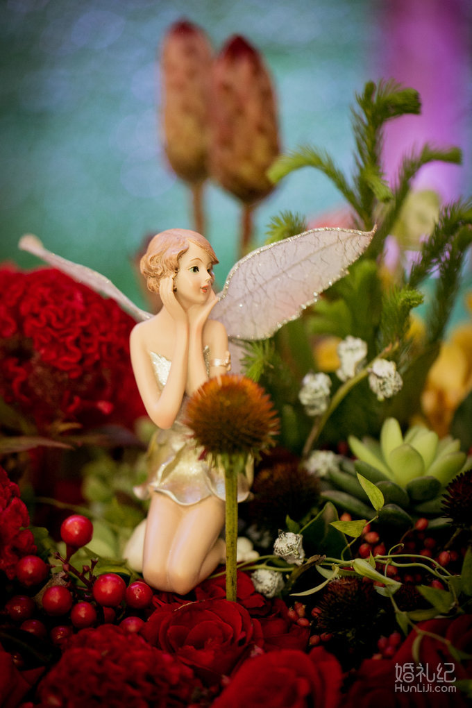 【双城记】“寻秘”别样的森林系绿野仙踪