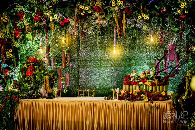 【双城记】“寻秘”别样的森林系绿野仙踪