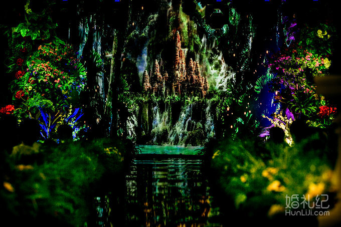 【双城记】“寻秘”别样的森林系绿野仙踪