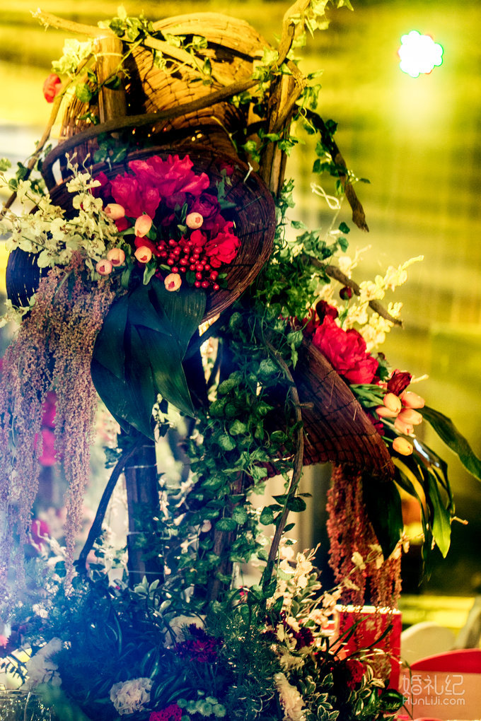 【双城记】“寻秘”别样的森林系绿野仙踪