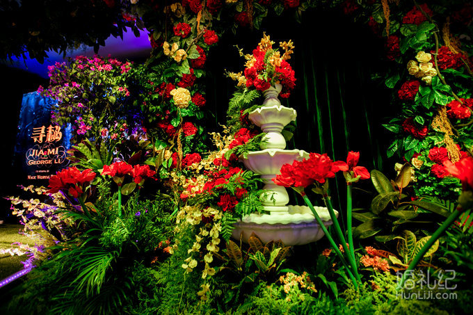 【双城记】“寻秘”别样的森林系绿野仙踪