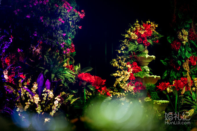 【双城记】“寻秘”别样的森林系绿野仙踪