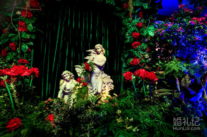 【双城记】“寻秘”别样的森林系绿野仙踪