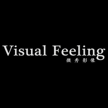 Visual Feeling微秀影像