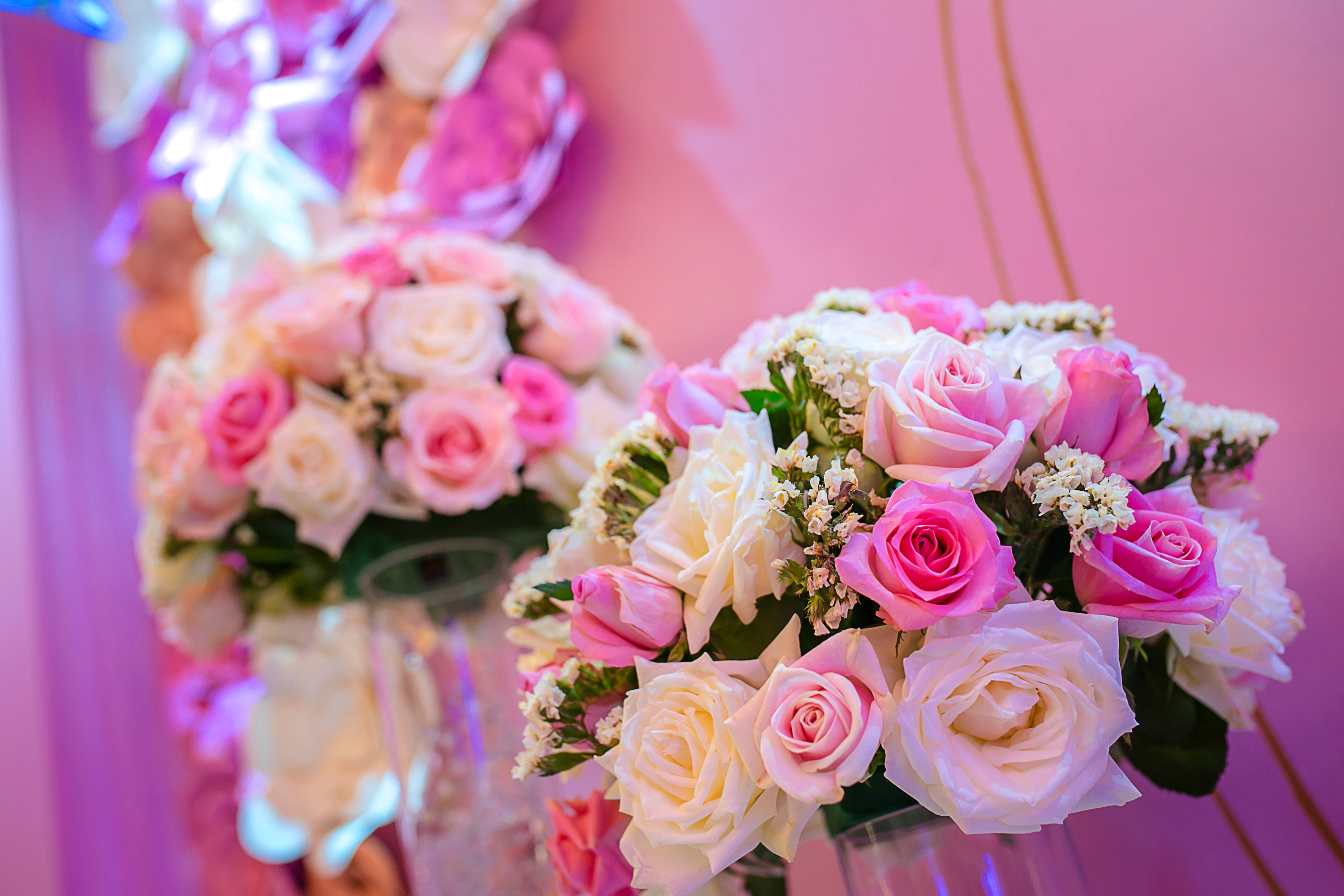 【绮丽婚典】「macarons」唯美梦幻婚礼