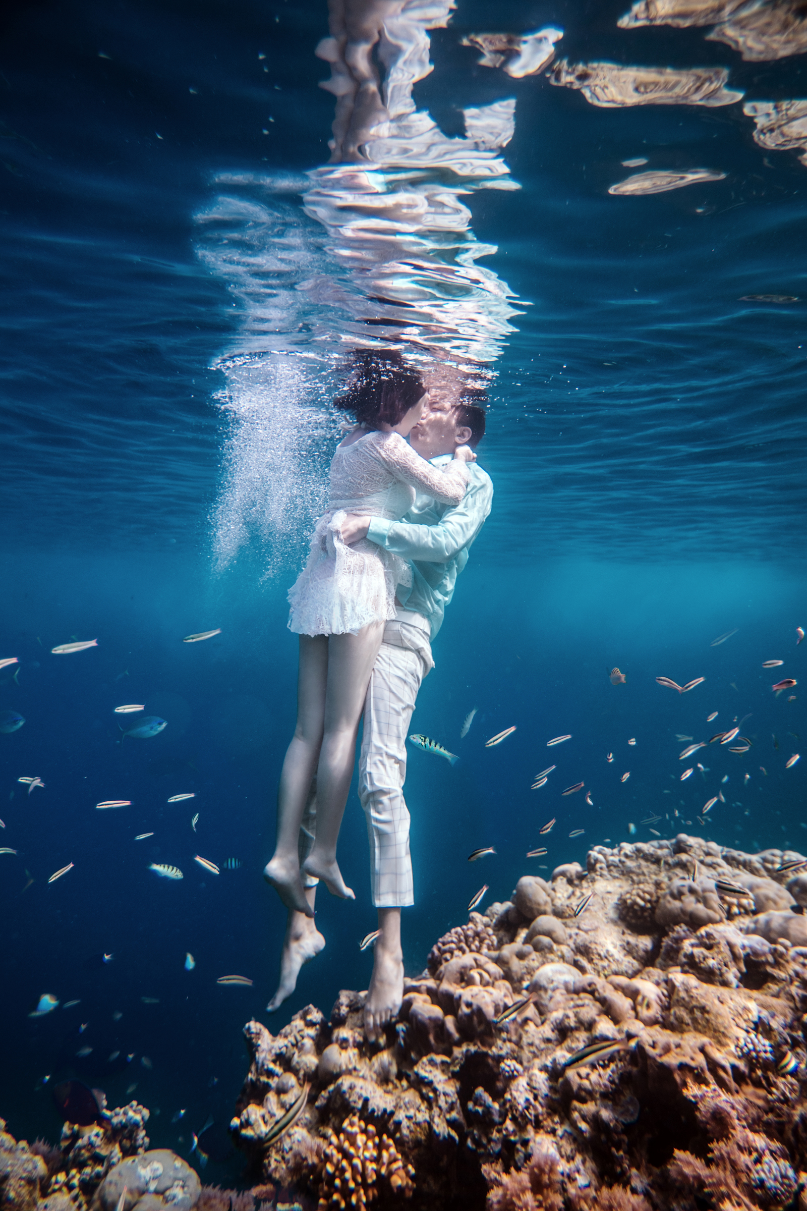 海底婚纱摄影_海底摄影(3)