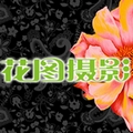 花圖攝影