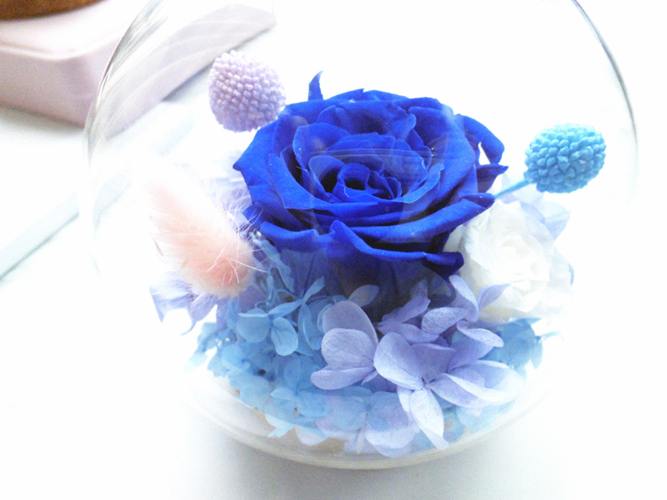 蓝色的花有哪些适合送给女生 o_1b0vgcks93he1mnpj15rndpphah.jpg