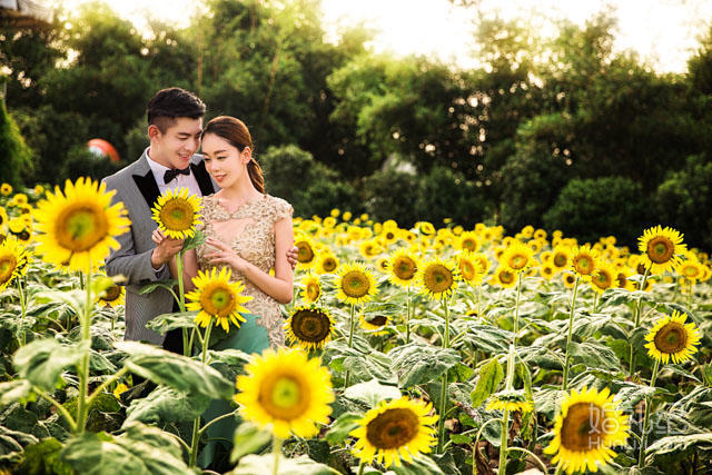 百万葵园婚纱摄影_婚纱摄影