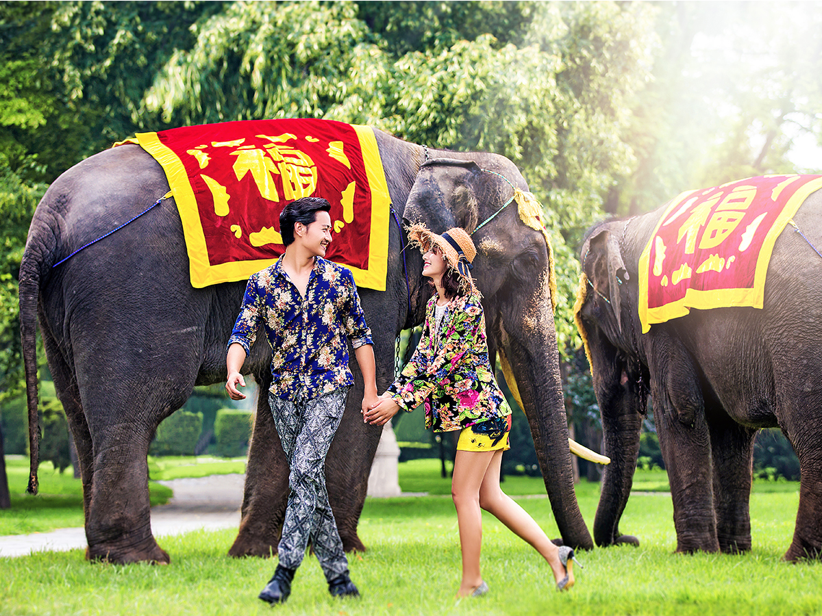 北京：8服8造+独家内景+赠送VIP会员卡