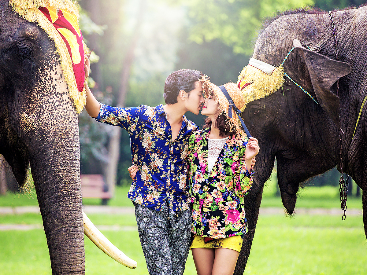 北京：8服8造+独家内景+赠送VIP会员卡