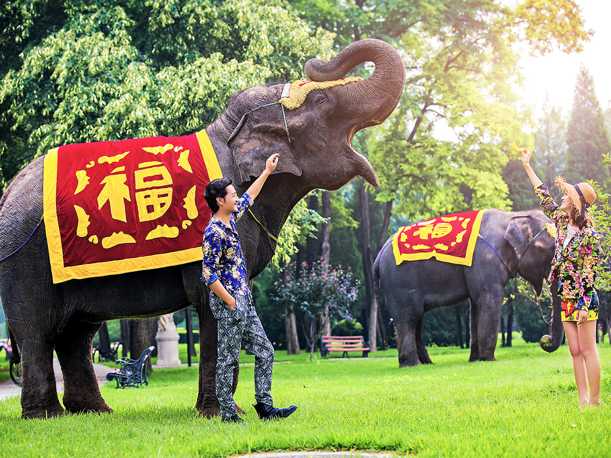 北京：8服8造+独家内景+赠送VIP会员卡