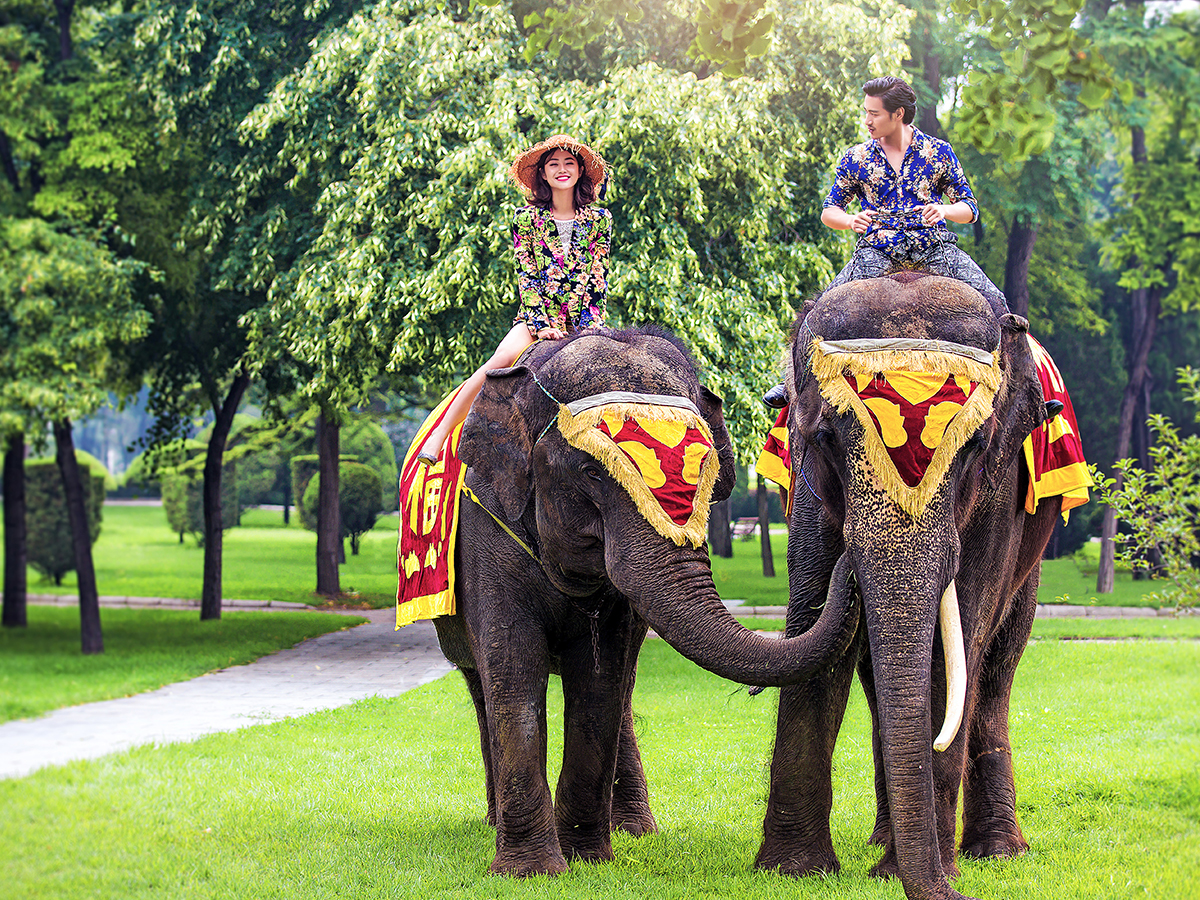 北京：花海 丘比特 水晶宫 中华文化园10服