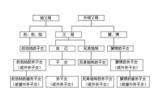 直系血親及三代以內旁系血親圖示