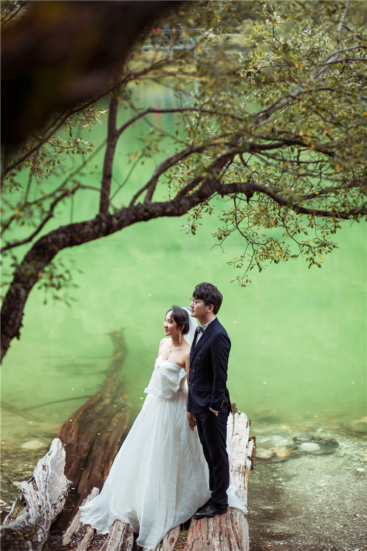 最美客片【爱情的诗和远方】杨小荷刘康琦