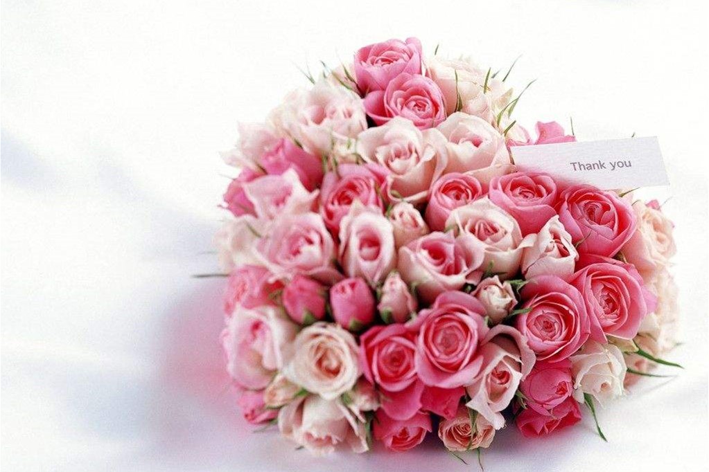 玫瑰花语每朵代表什么，求婚几朵合适