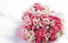 玫瑰花语每朵代表什么，求婚几朵合适