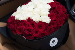求婚用三十三朵玫瑰代表什么意思