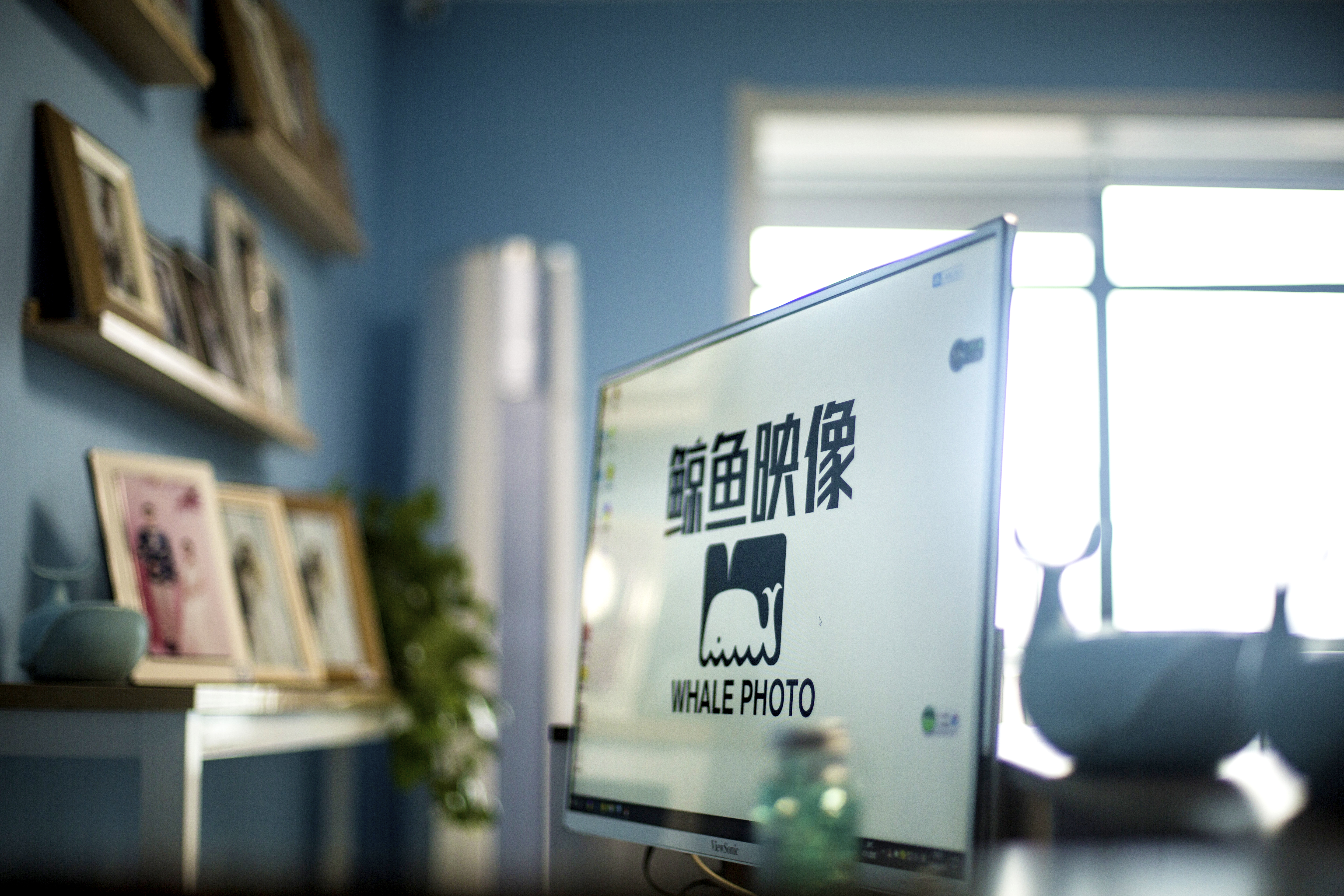 鲸鱼映像