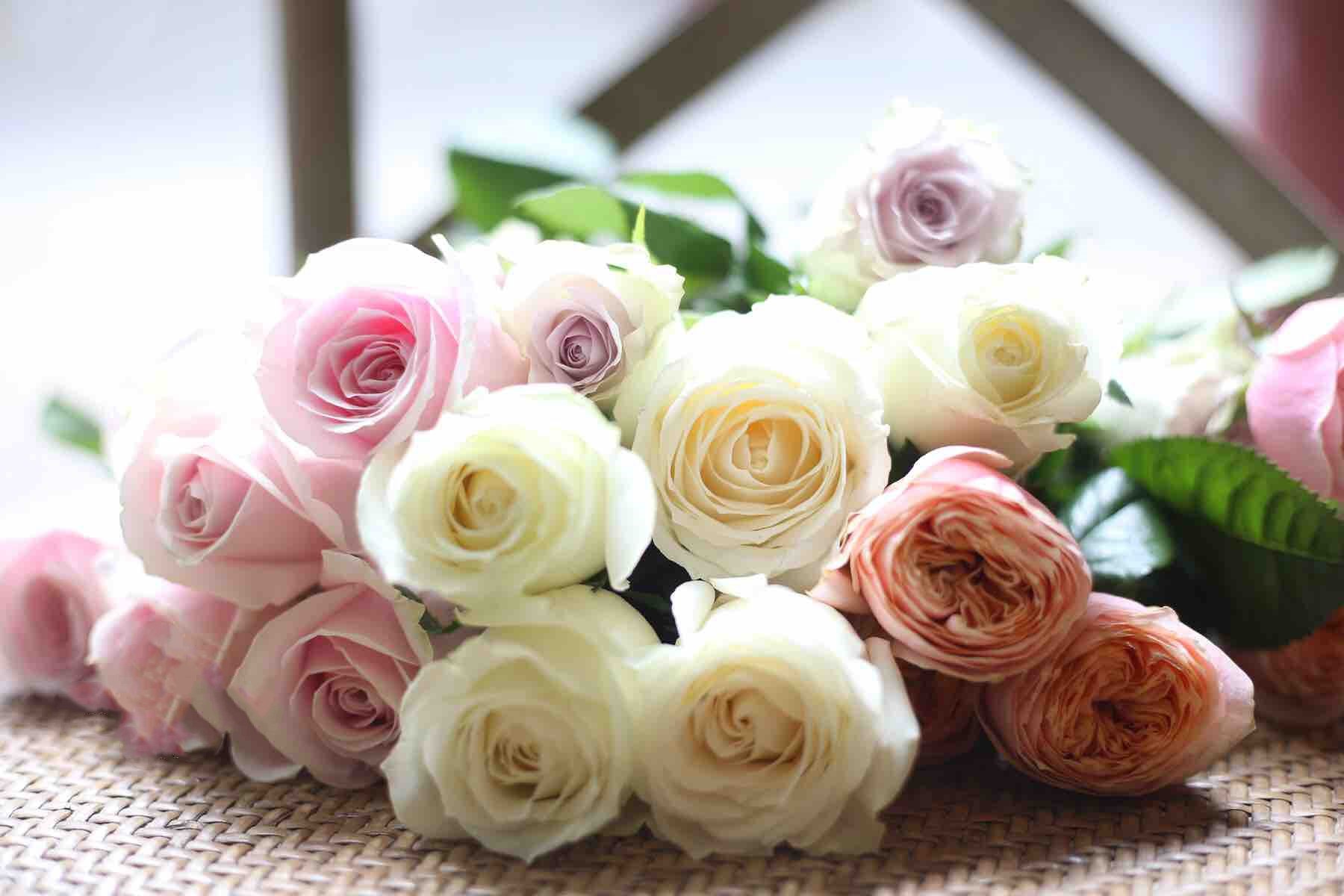 求婚用十朵玫瑰代表什么意思