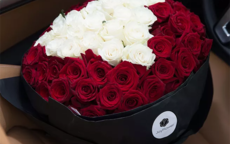 求婚送玫瑰颜色代表的含义
