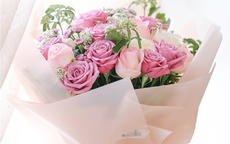 求婚送11朵粉玫瑰代表什么意思