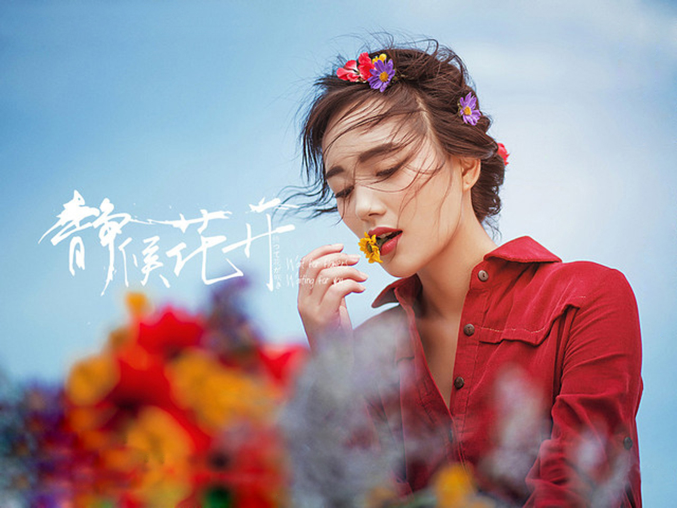 婚礼纪VIP管家定制上海城市微旅拍服务